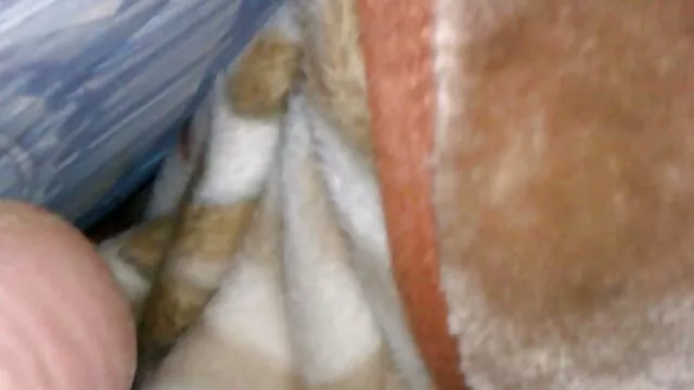 سلوتي فاتنة افلام سكس اجنبيه اباحيه لا يخاف أن يكون الجنس الشرجي